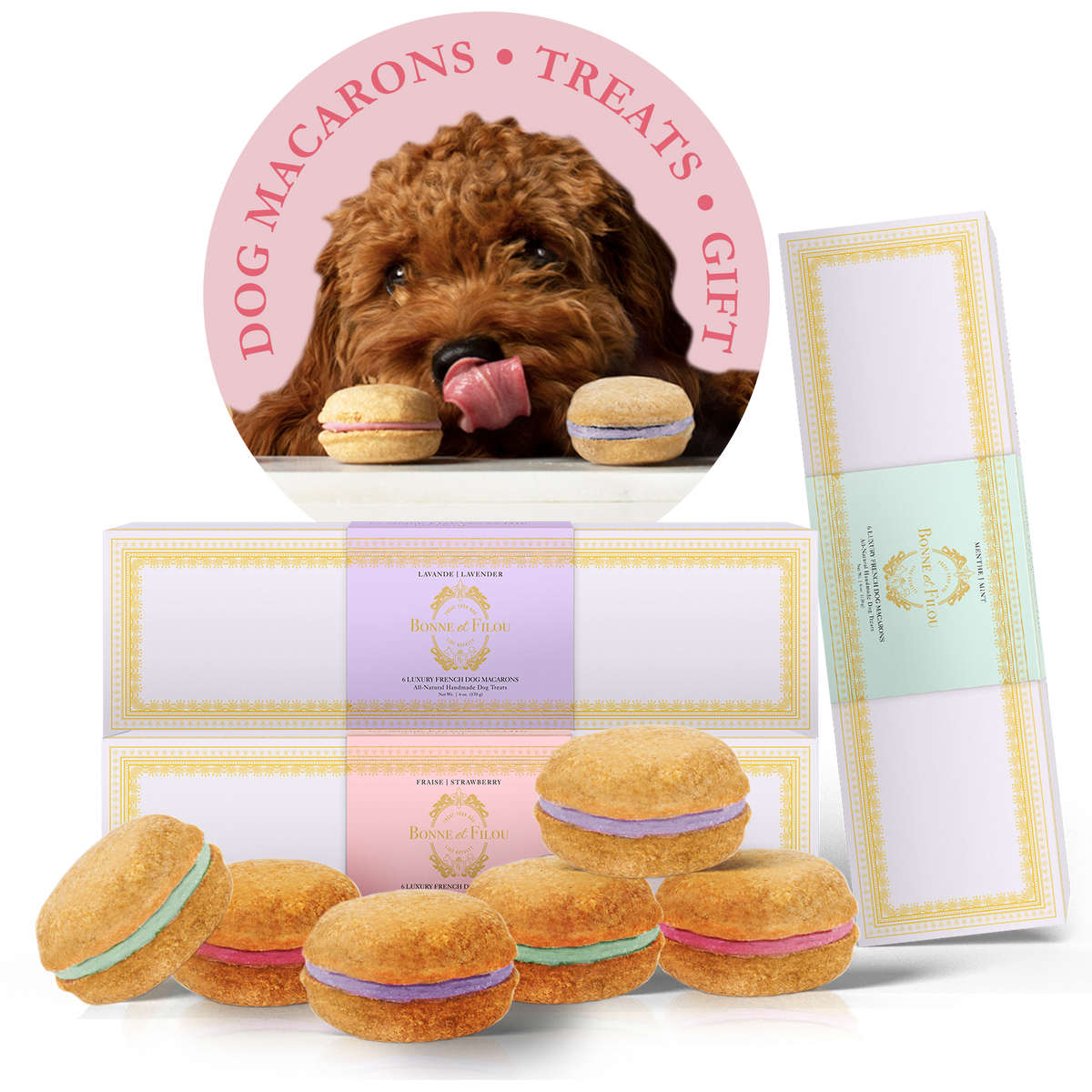 Dog Macaron Club - 6 Months Gift Subscription