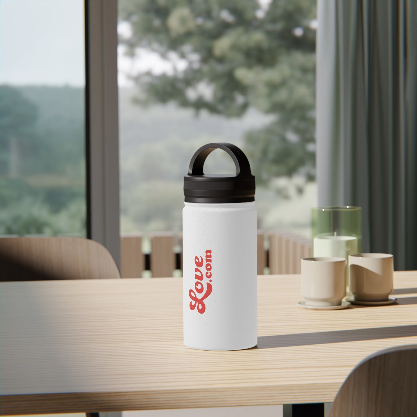 Stainless Steel Water Bottle, Handle Lid