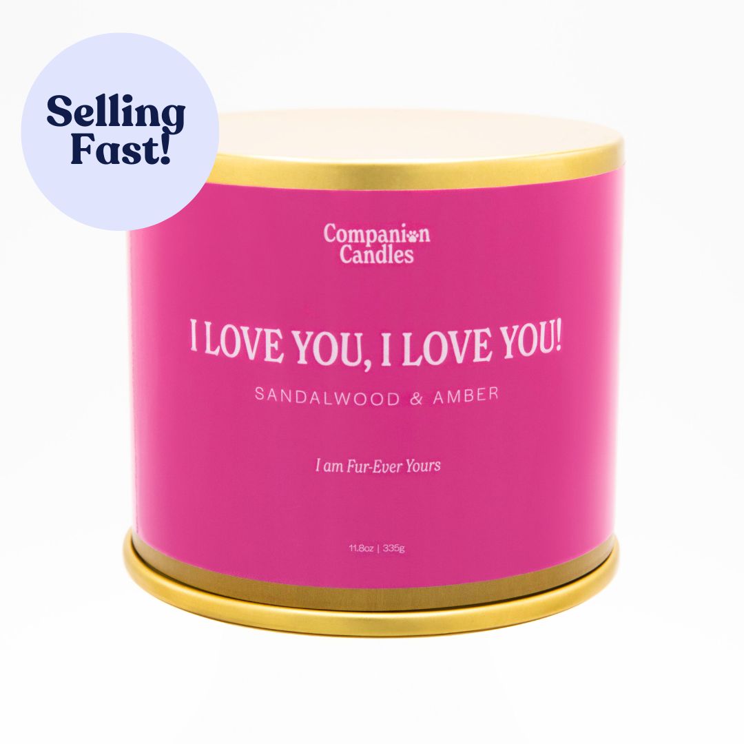 I Love You, I Love You! // Sandalwood & Amber by Companion Candles