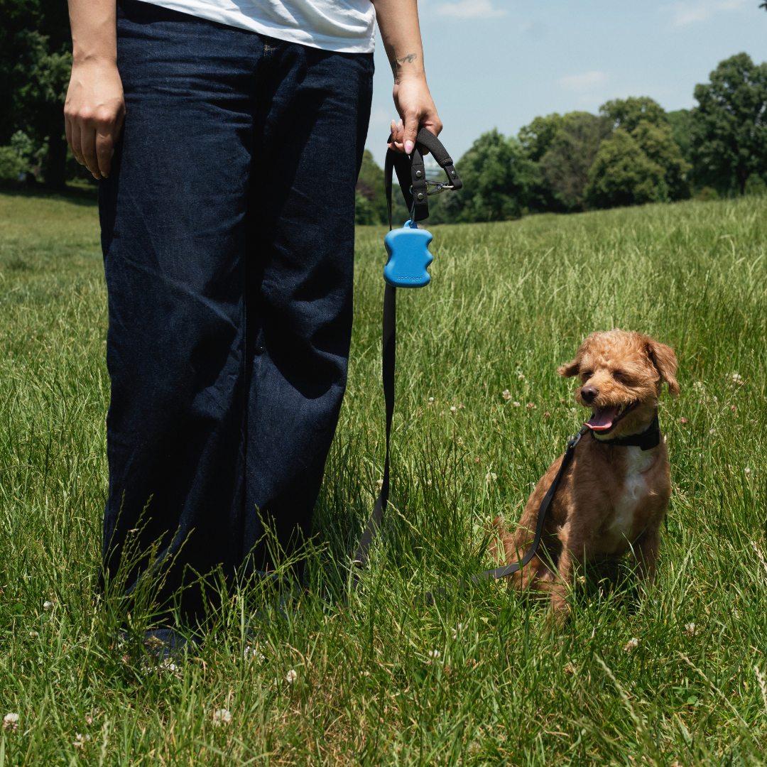 Silicone Dog Treat Dispenser