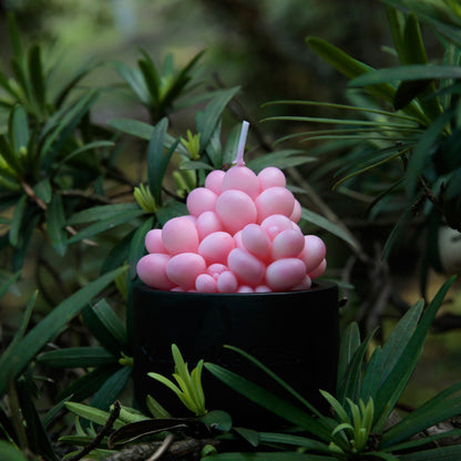 Pink Moonstones Succulent Scented Candle