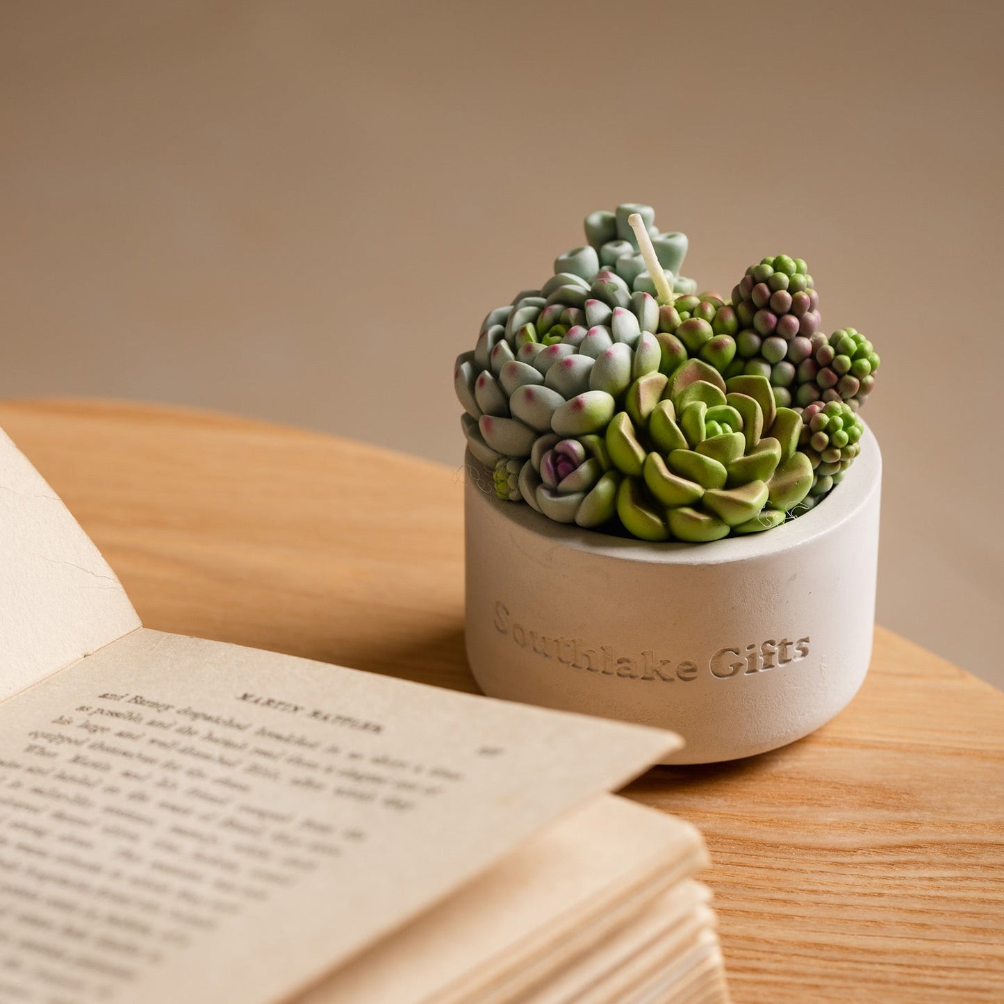 Assorted Succulent Candle with Concrete Vessel