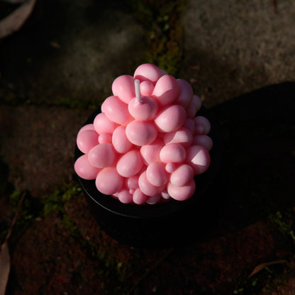 Pink Moonstones Succulent Scented Candle