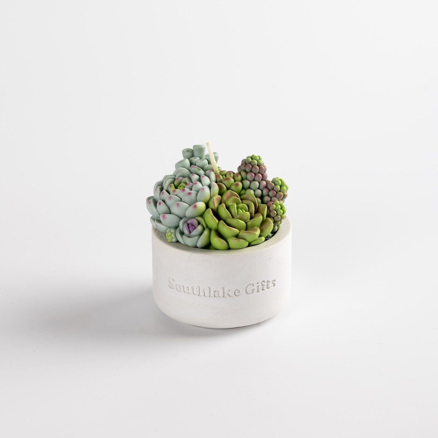 Assorted Succulent Candle with Concrete Vessel