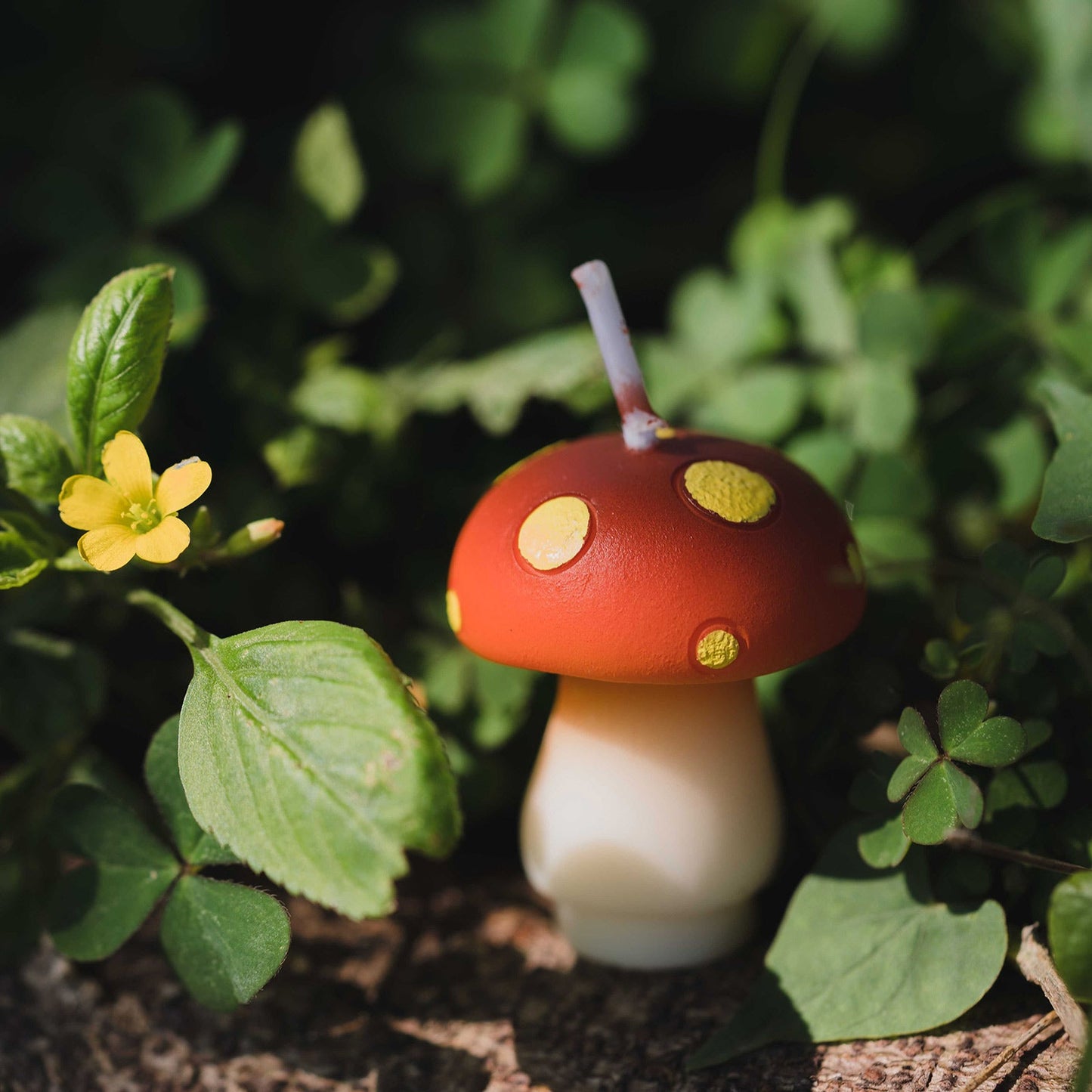 Mini Mushroom Candle Set