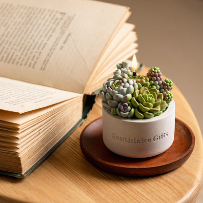 Assorted Succulent Candle with Concrete Vessel