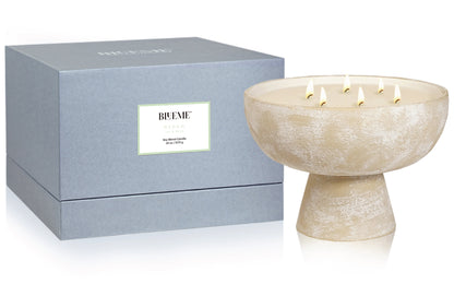 Renew - Ceramic Refillable Candle - Ivy & Rose