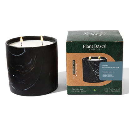 Lemonberry Morning Black Marquina Candle 17oz