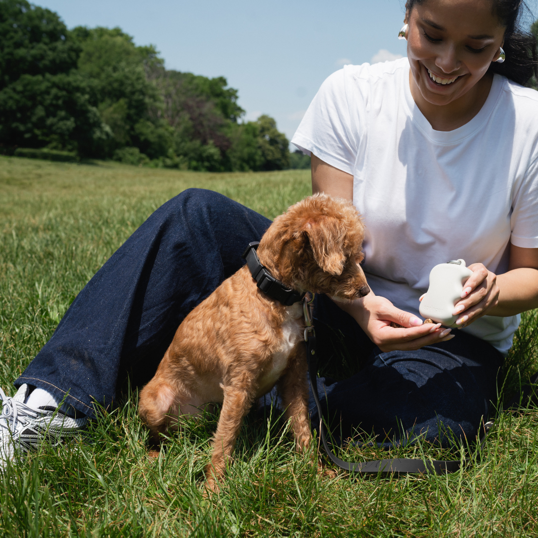 Silicone Dog Treat Dispenser