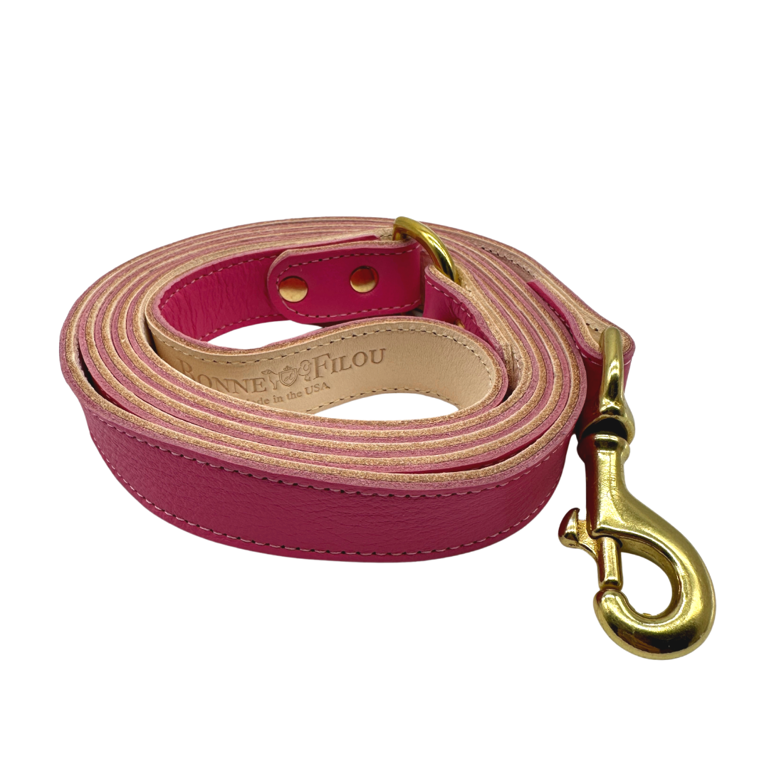 Plain Leather Dog Leashes