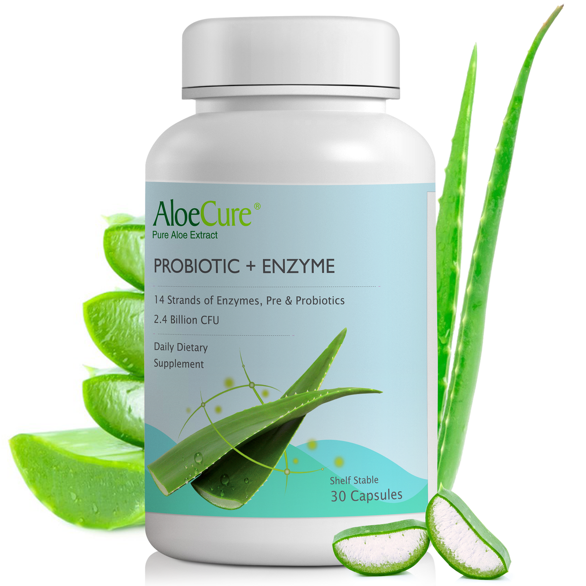 Pre+Probiotic & Digestive Enzyme Blend