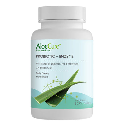 Pre+Probiotic & Digestive Enzyme Blend