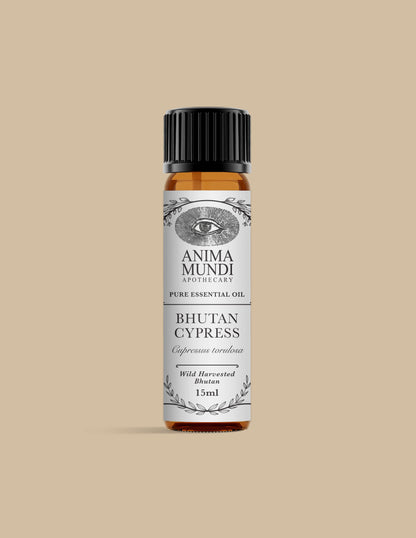 BHUTAN CYPRESS Essential Oil | Wildcrafted