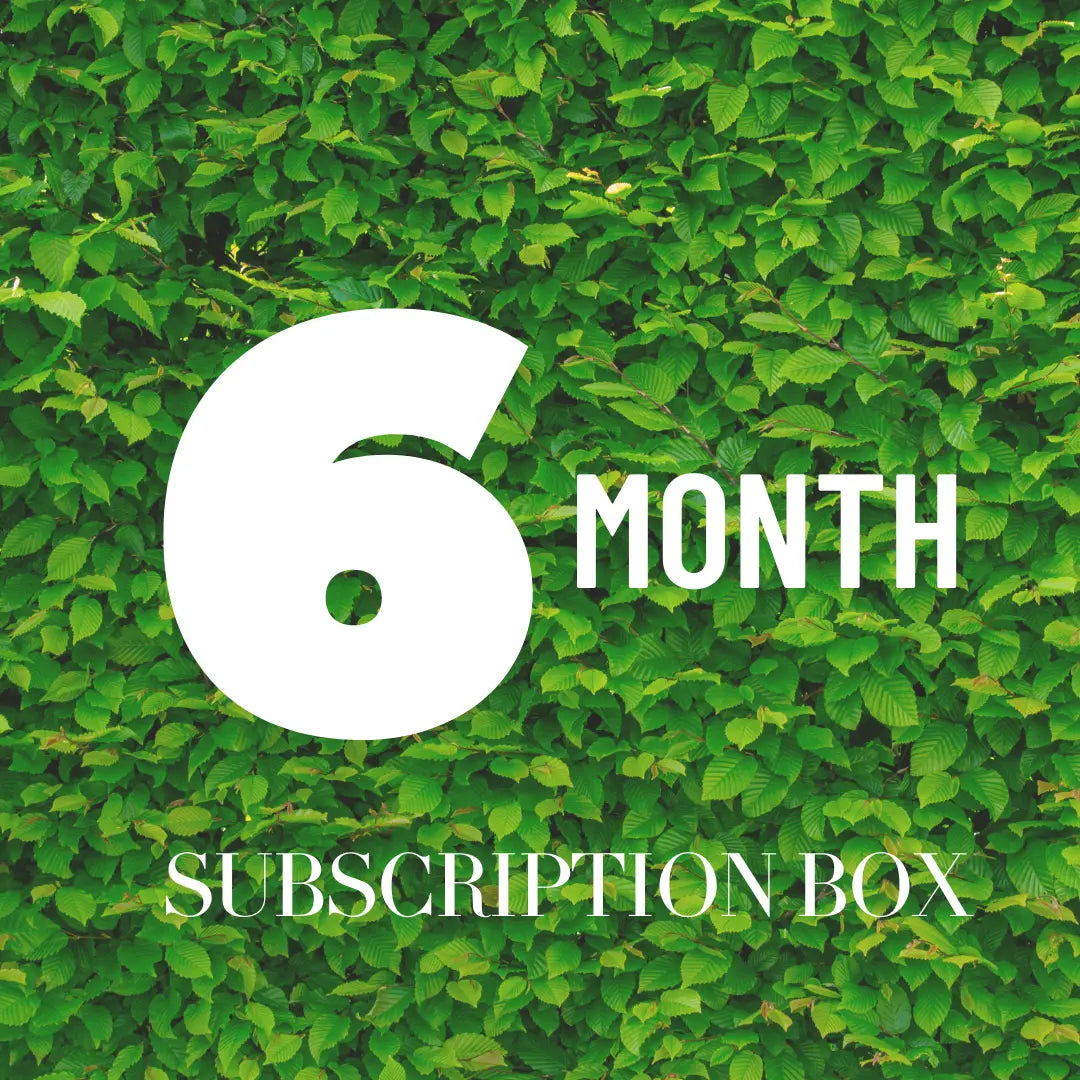 6 Month Subscription Candle Club