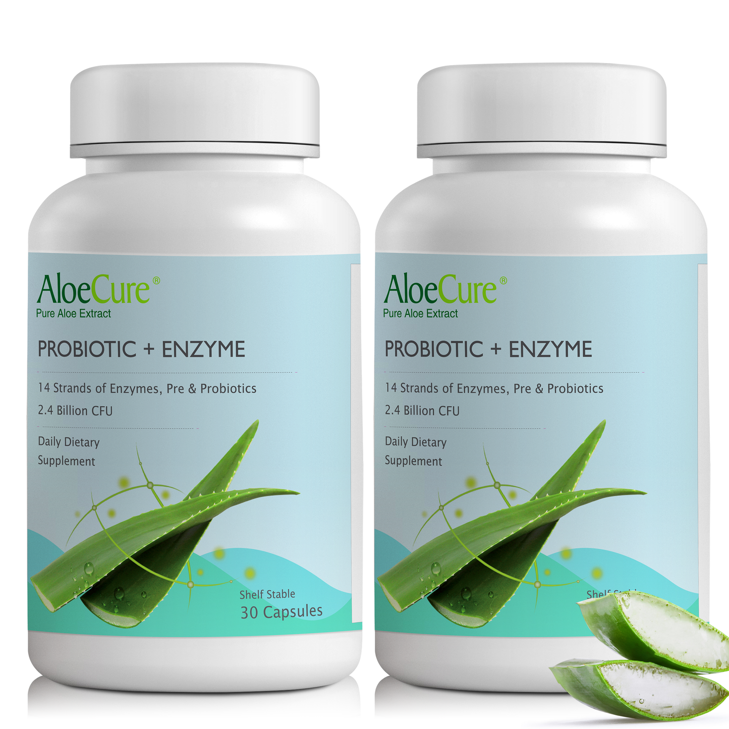 Pre+Probiotic & Digestive Enzyme Blend