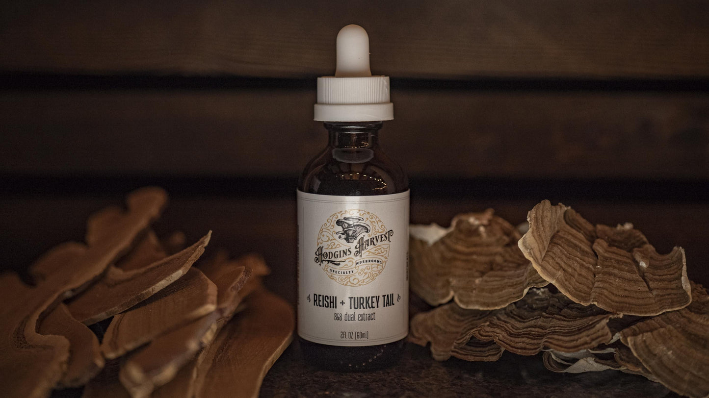 Reishi + Turkey Tail Dual Extract Tincture by Hodgins Harvest