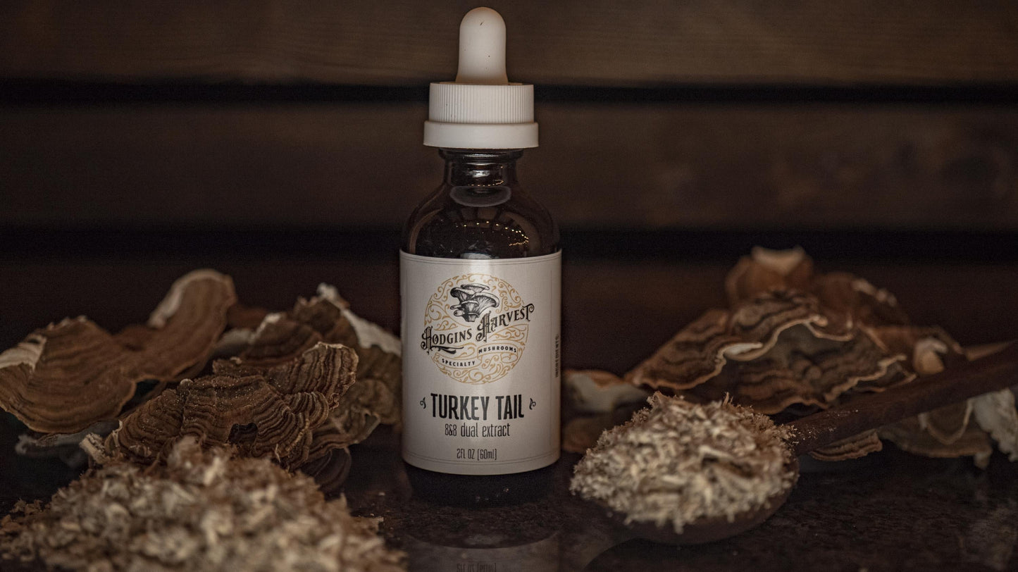 Turkey Tail Dual Extract Tincture by Hodgins Harvest