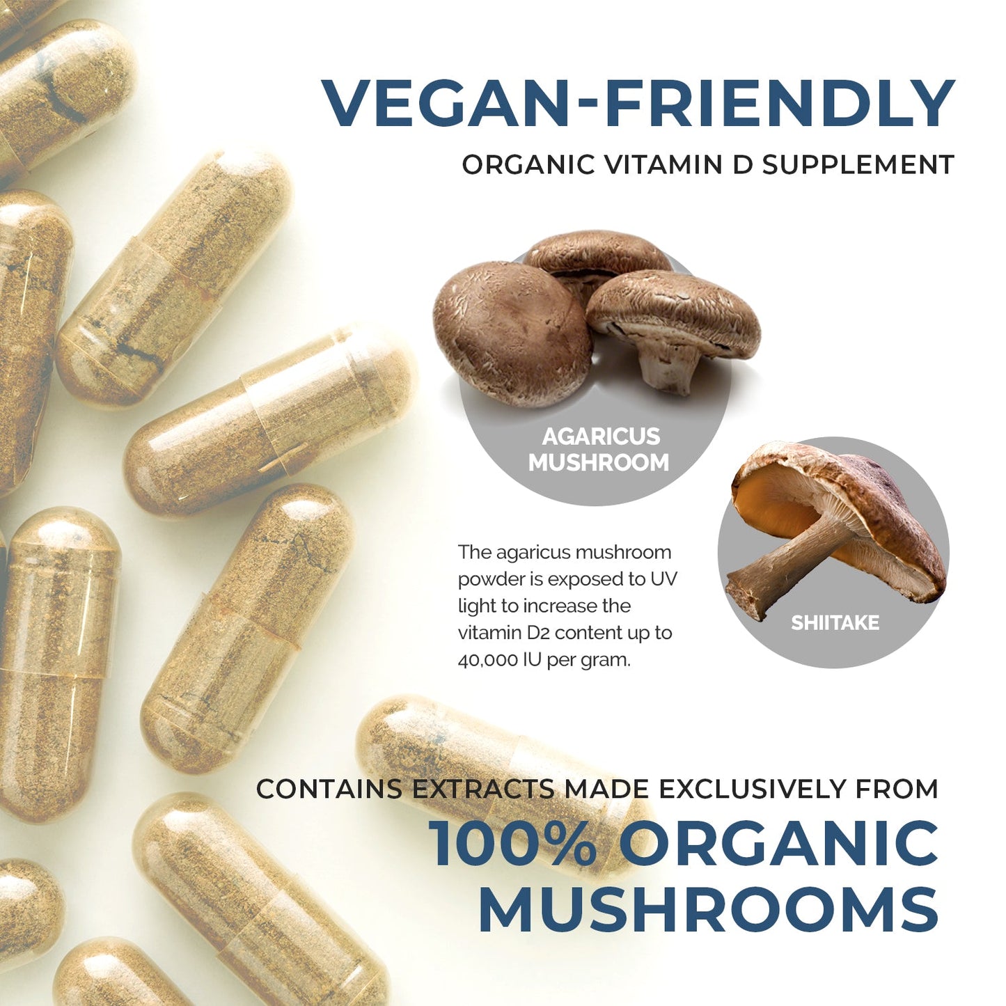 Vitamin D from Organic Mushrooms by Real Mushrooms