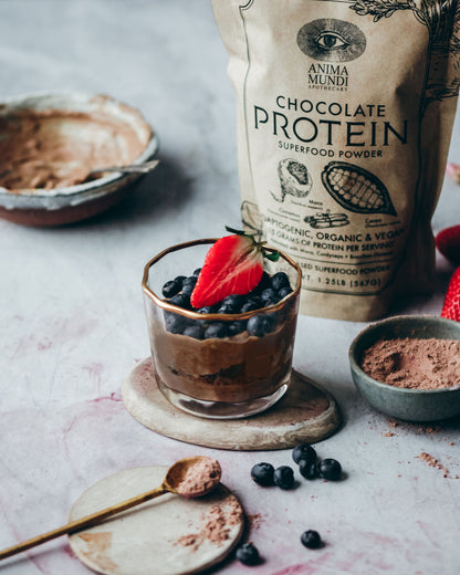 CHOCOLATE PROTEIN | Superfood Powder