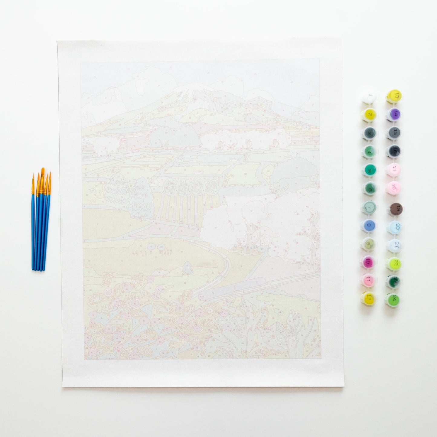 Japanese Countryside by Hebe Studio Paint by Numbers Deluxe