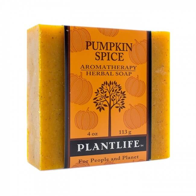 Pumpkin Spice Bar Soap