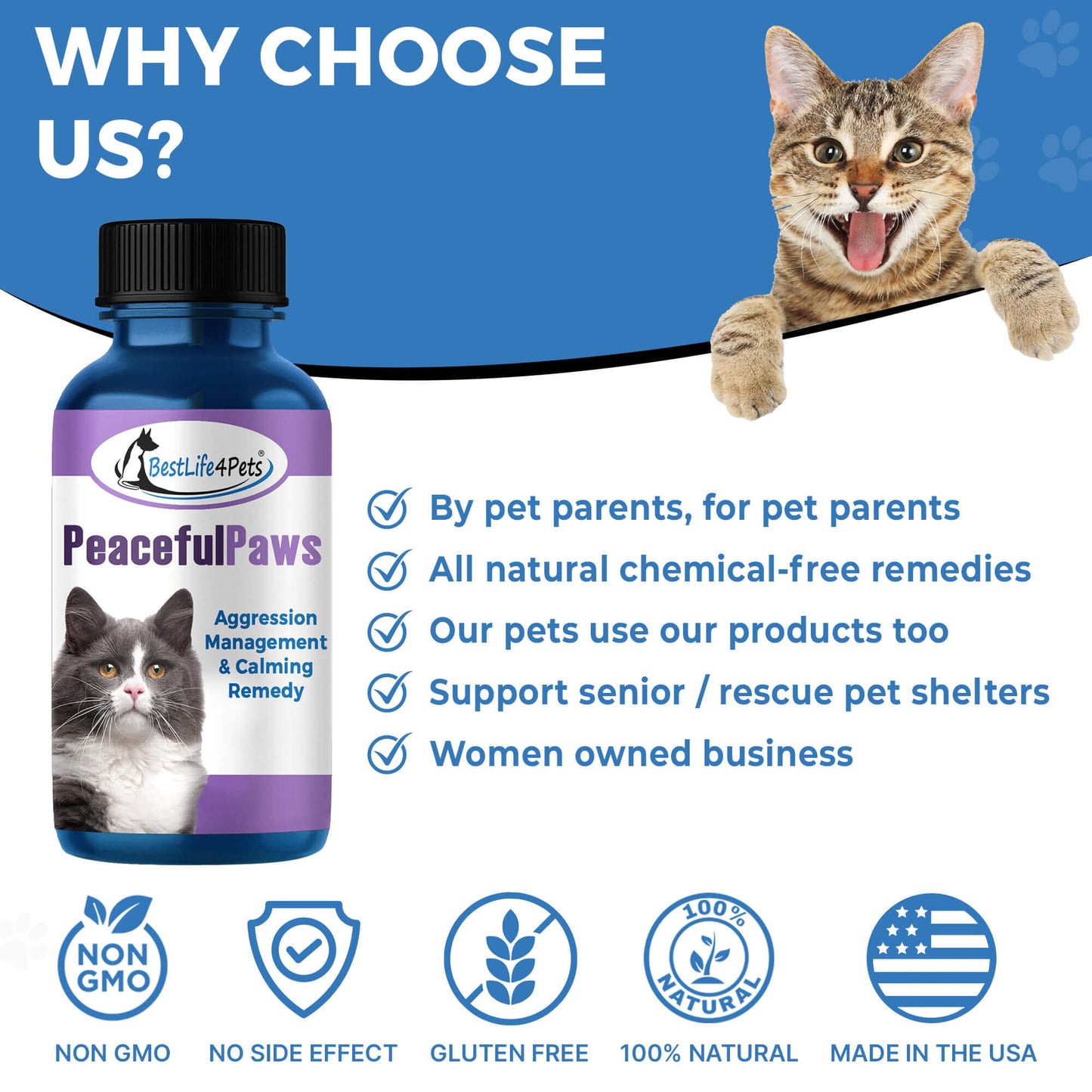 Peaceful Paws Cat Aggression & Anxiety Management for Stress, Spraying, Territorial Behavior by BestLife4Pets