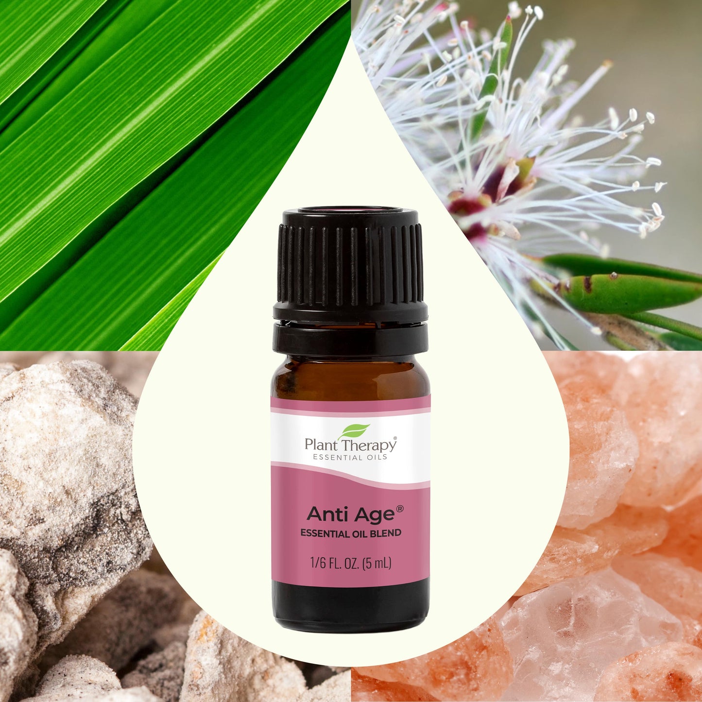 Anti Age Essential Oil Blend