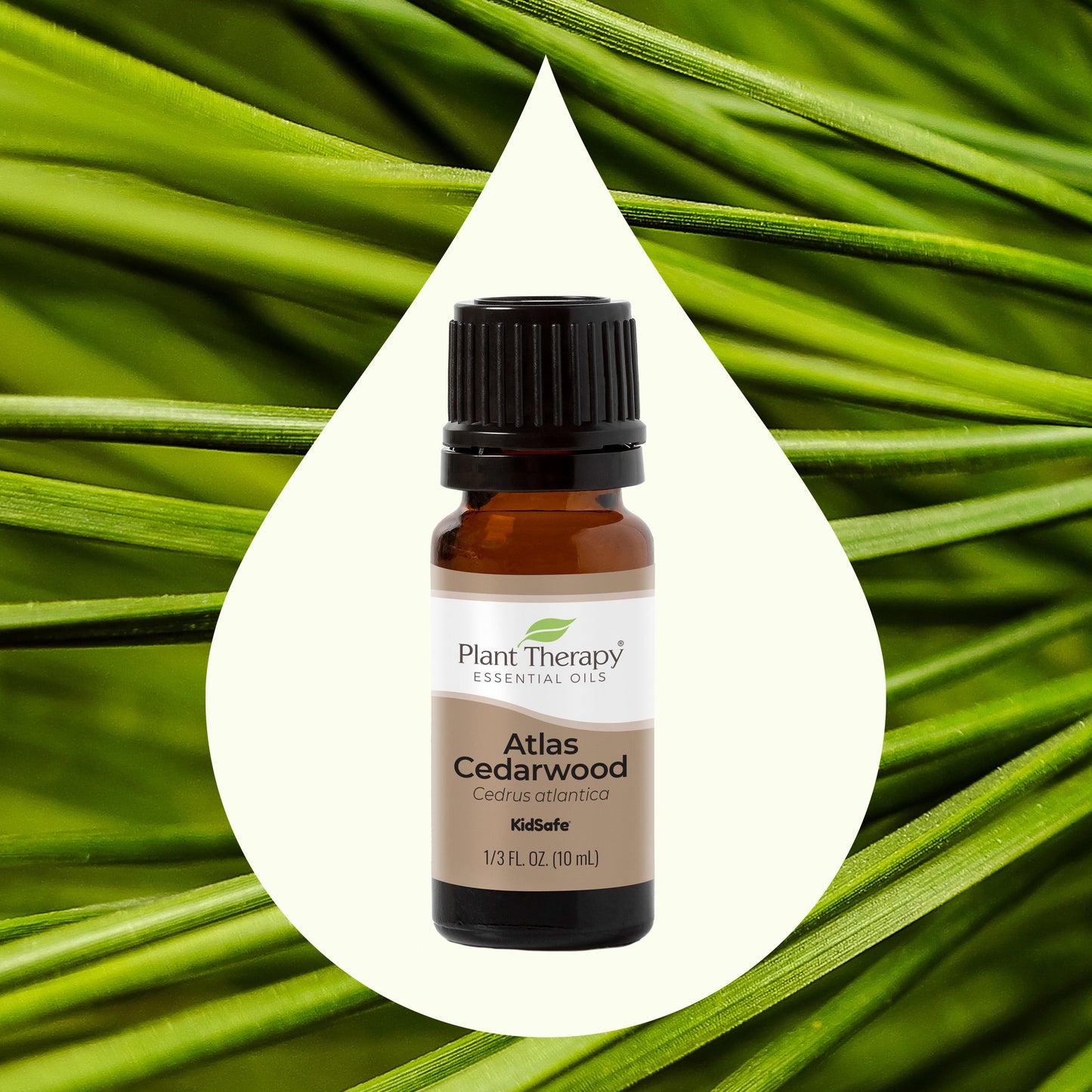 Atlas Cedarwood Essential Oil