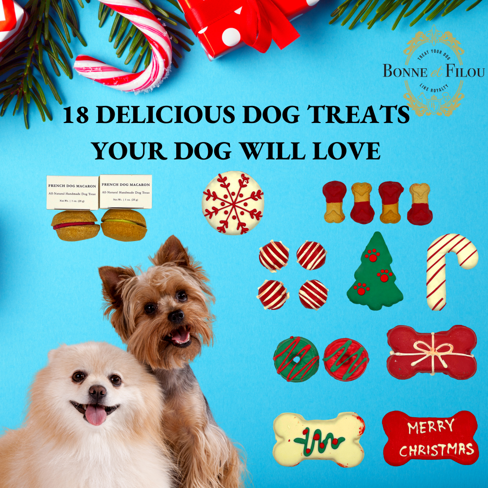 Christmas Dog Treats Gift Box