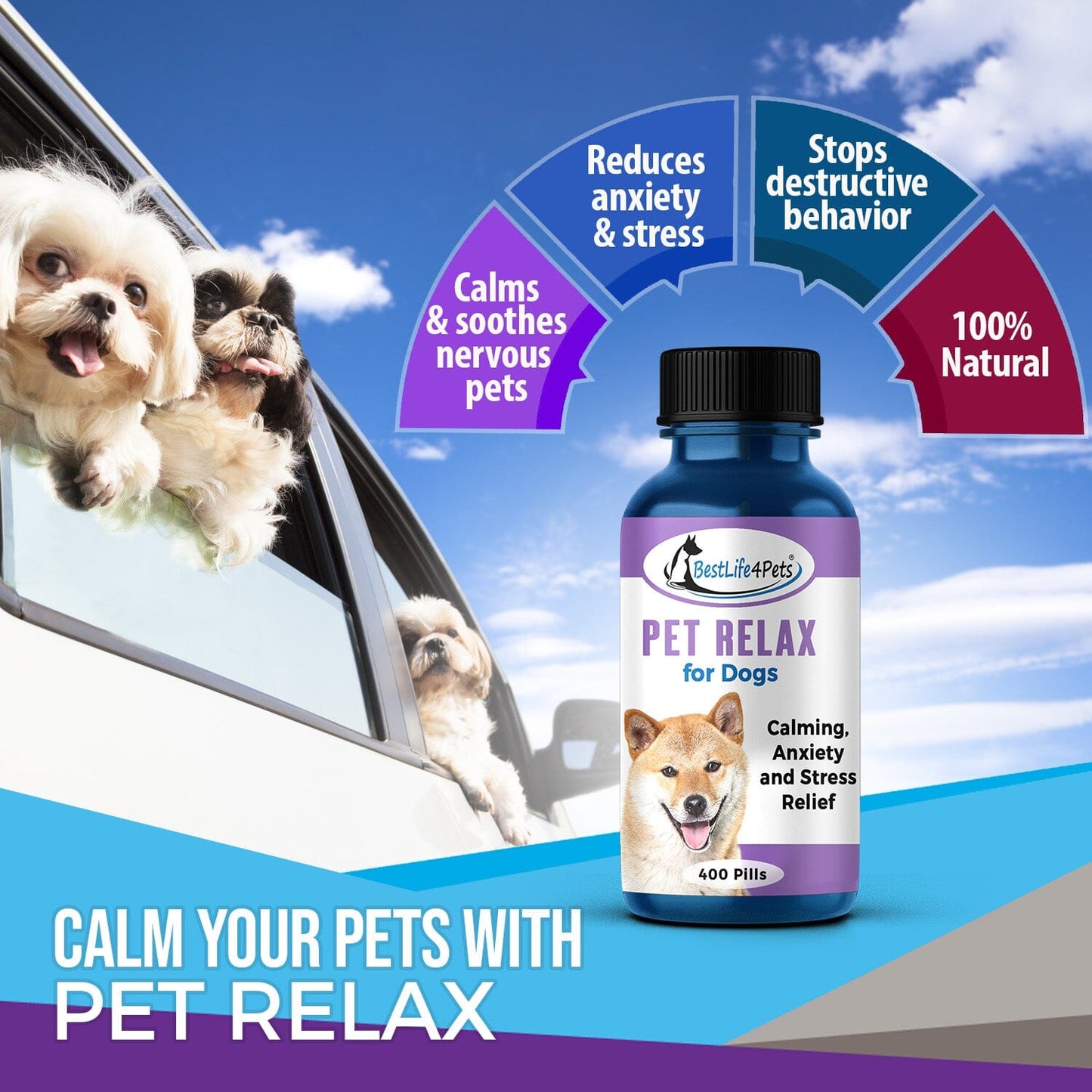 Pet Relax Dog Anxiety and Calming Relief Formula by BestLife4Pets