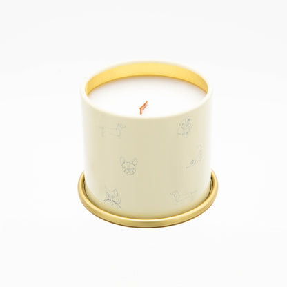 You Got This! // Citrus & Tropical Fruits by Companion Candles