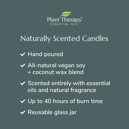 Candy Cane Naturally Scented Candle