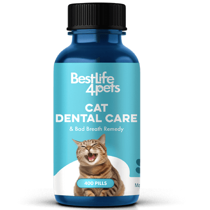 Cat Dental Care and Bad Breath Remedy - Natural Solution for Better Feline Oral Health by BestLife4Pets