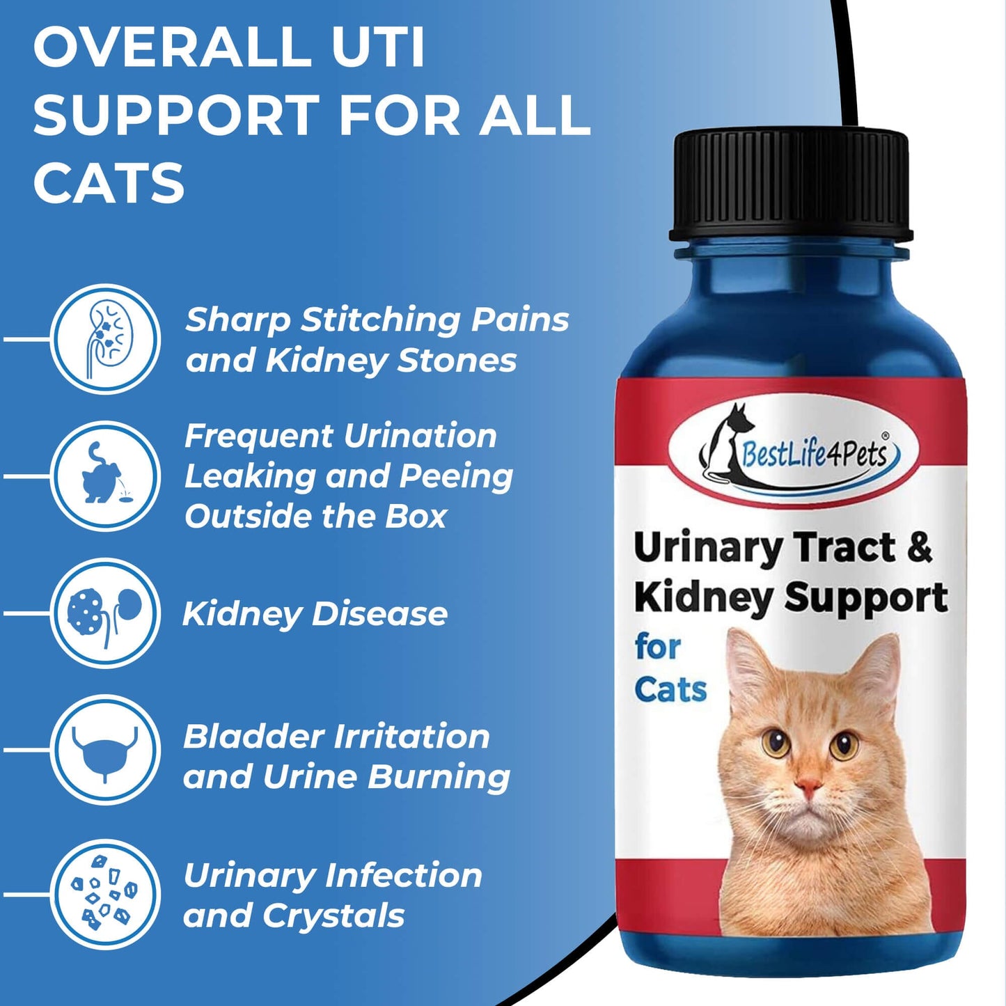 Natural Cat UTI & Kidney Remedy - Reduces Infections and Supports Optimal Bladder Function by BestLife4Pets