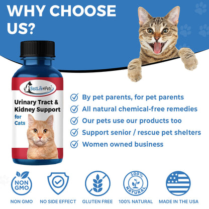 Natural Cat UTI & Kidney Remedy - Reduces Infections and Supports Optimal Bladder Function by BestLife4Pets