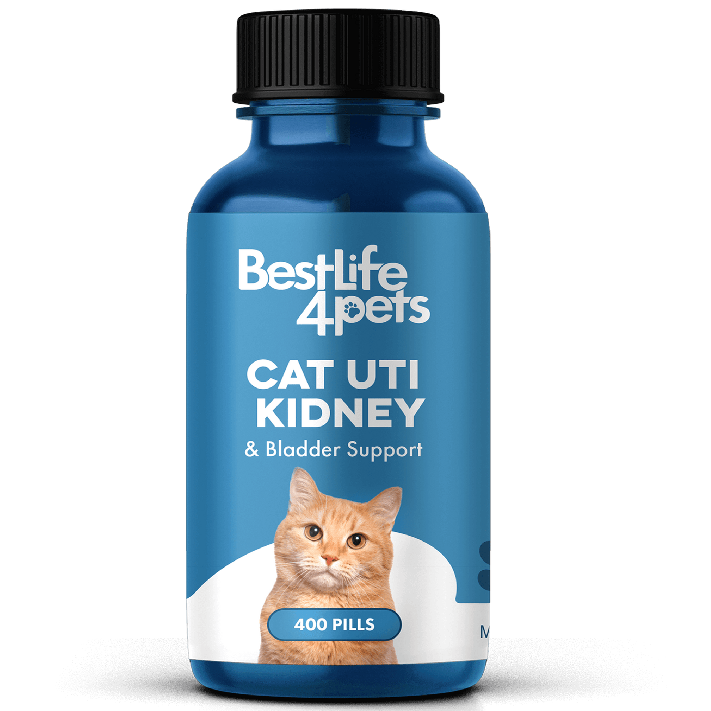 Natural Cat UTI & Kidney Remedy - Reduces Infections and Supports Optimal Bladder Function by BestLife4Pets