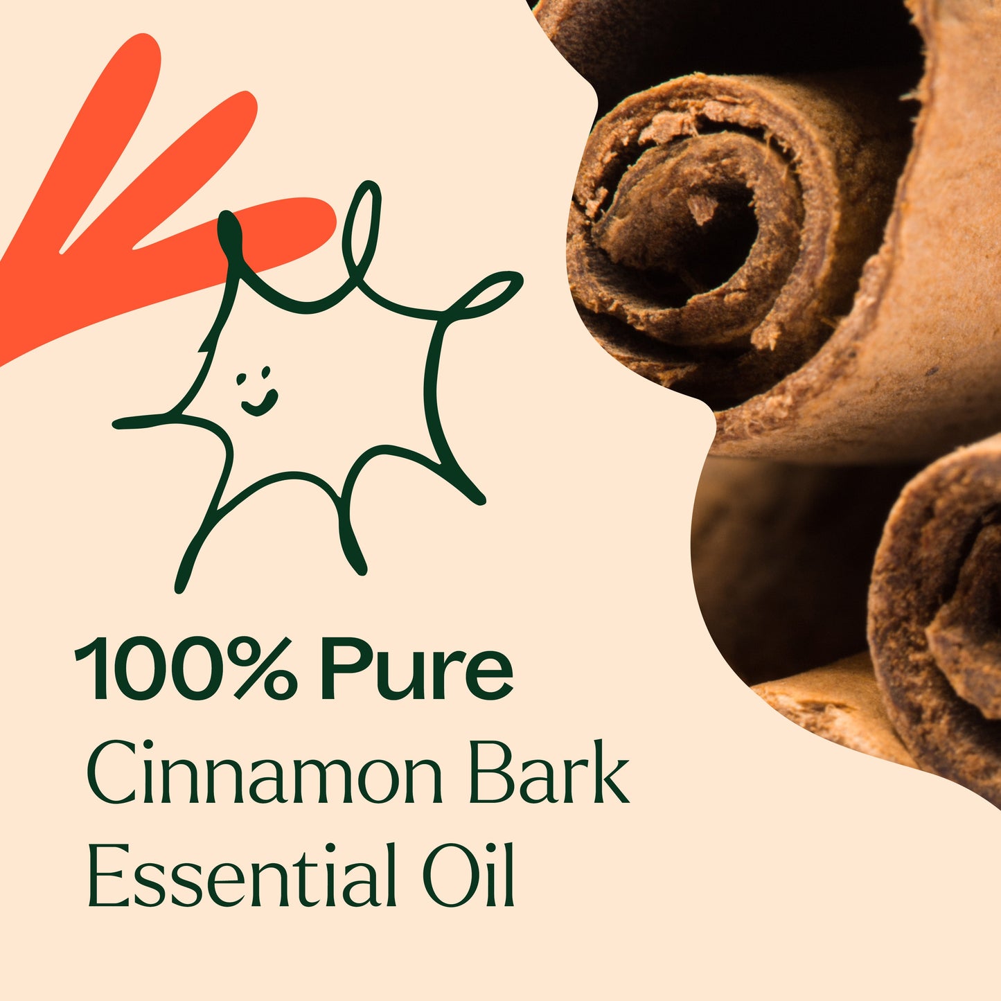 Cinnamon Bark Essential Oil