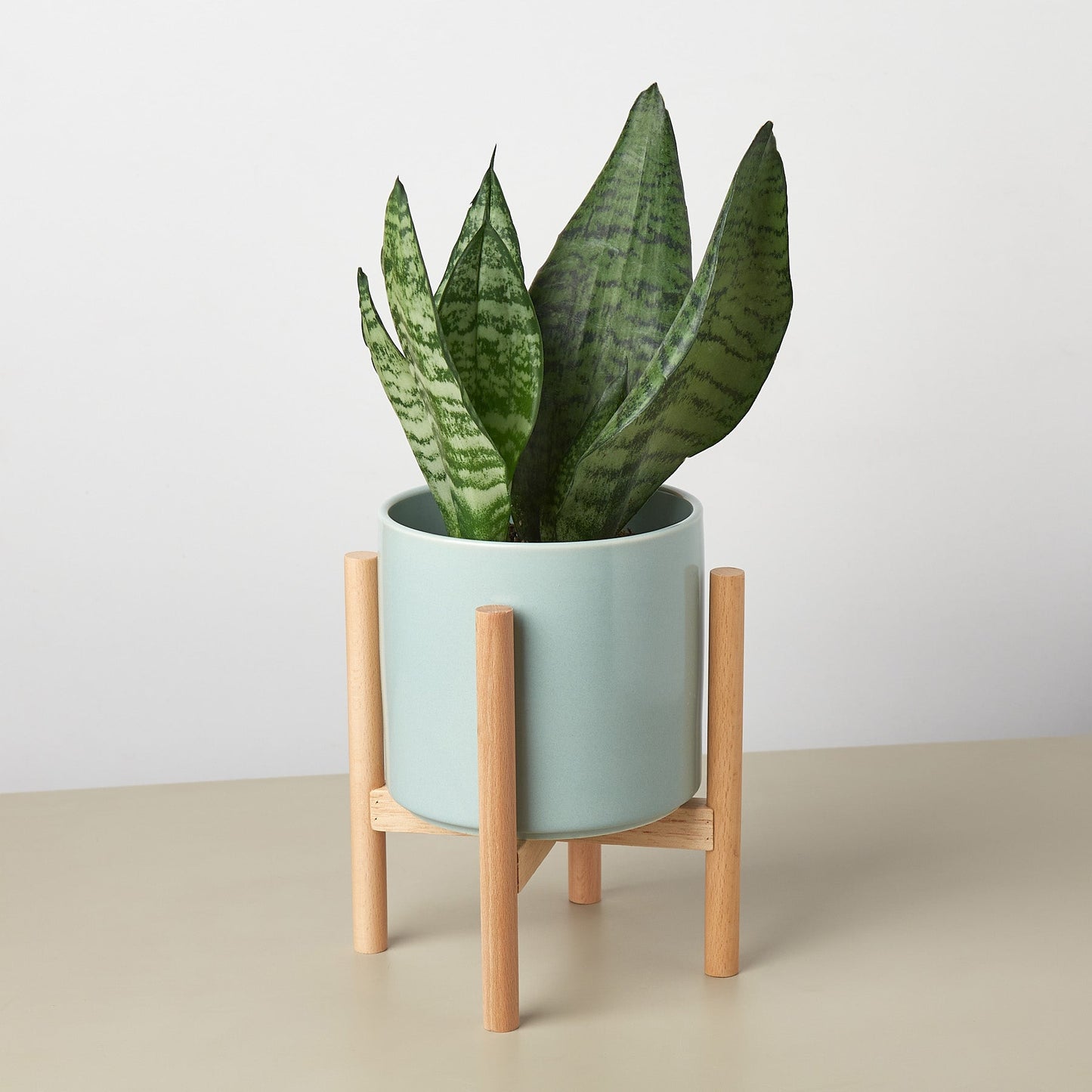 Cylinder Planter with Wood Stand - 5" Pot