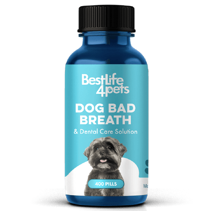 Dog Bad Breath & Dental Care Solution - Natural Remedy for Canine Oral Health by BestLife4Pets