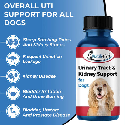 Dog UTI & Kidney Infection Treatment for Dogs by BestLife4Pets