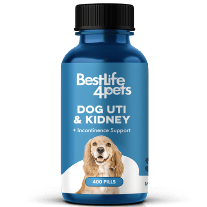 Dog UTI & Kidney Infection Treatment for Dogs by BestLife4Pets