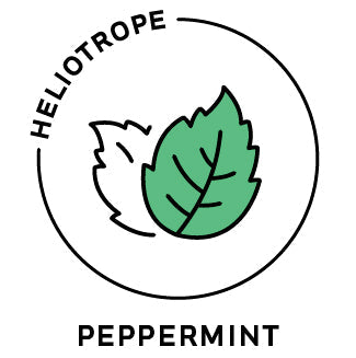 Essential Oil - Peppermint (Organic) by Heliotrope San Francisco