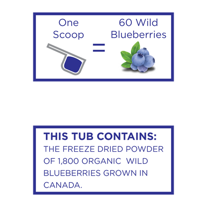 Organic Wild Blueberry Powder