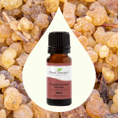 Frankincense Serrata Essential Oil