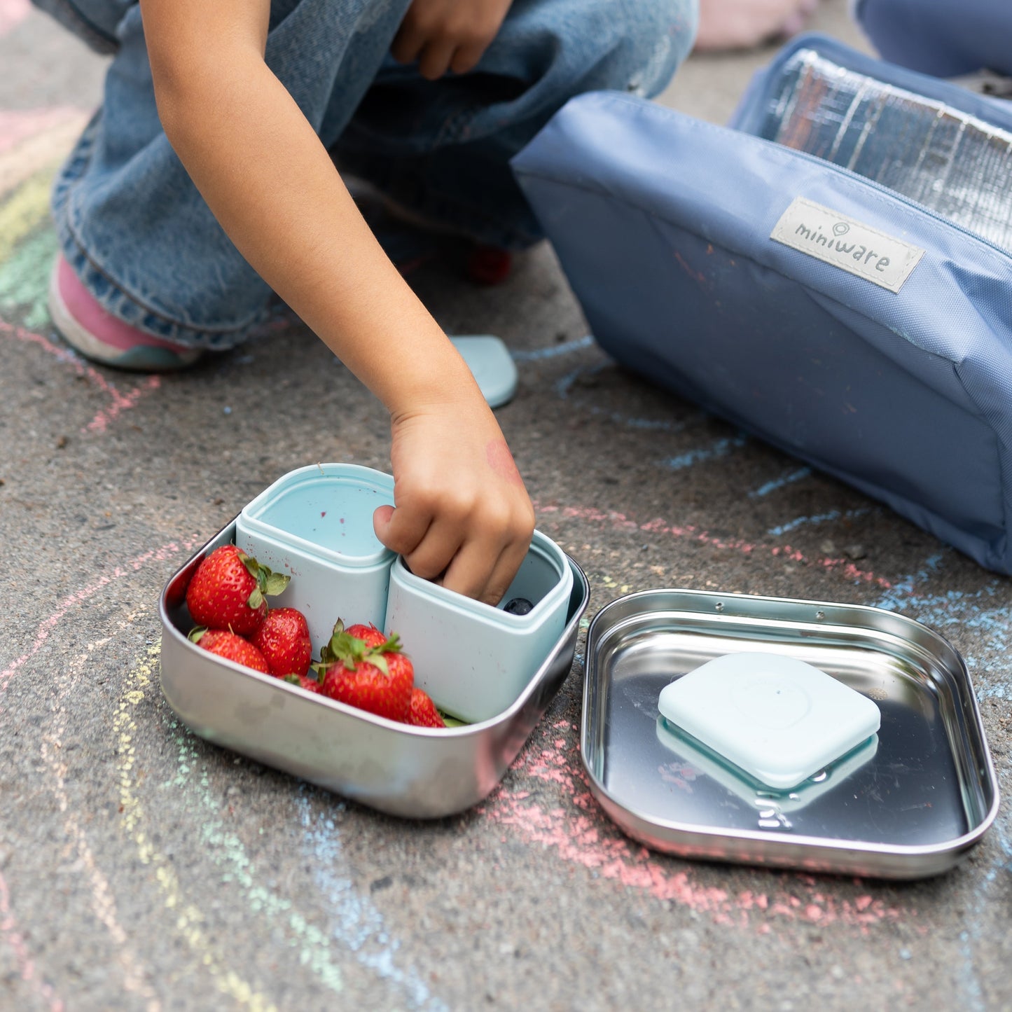 GrowBento: All Ages Bento Box - Chrome + Aqua by Miniware