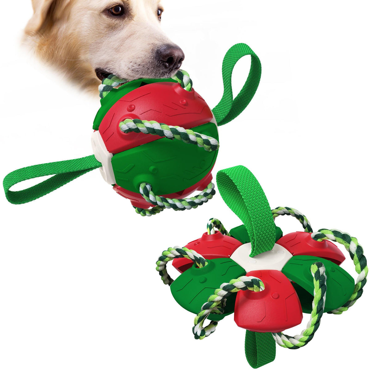 Interactive Football Dog Chew Toy by Plushy Planet