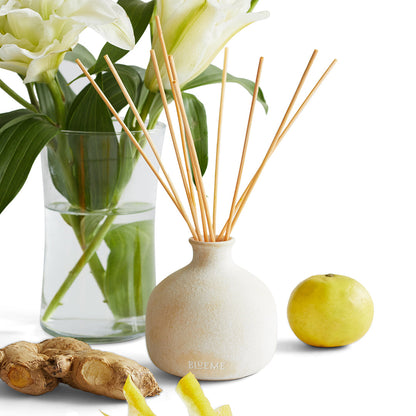 Happiness - Ceramic Refillable Diffuser - Yuzu & Ginger