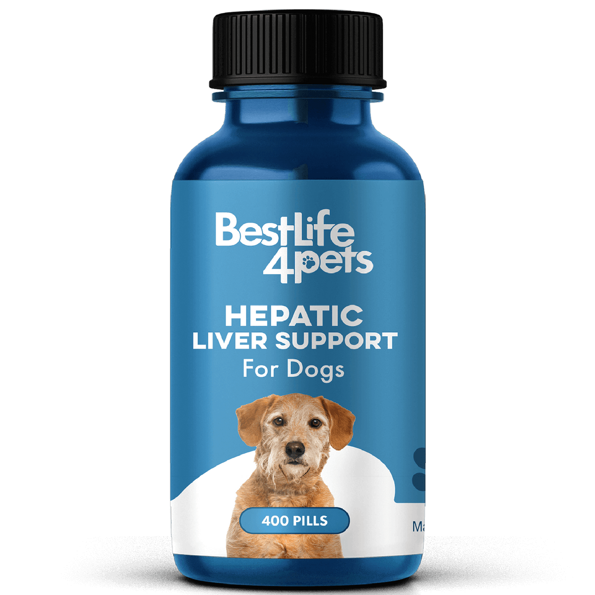 Natural Hepatic Dog Liver Support Tablets by BestLife4Pets