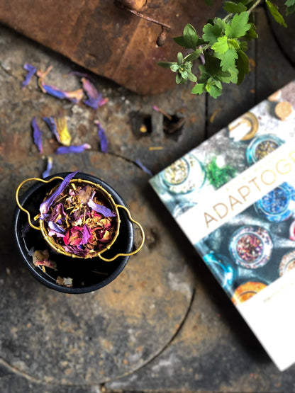 ADAPTOGENS Book | Ritual Wellness