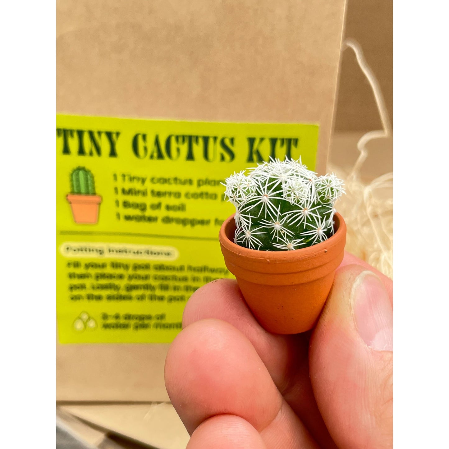 Tiny Cactus Kit